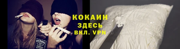твердый Алексеевка