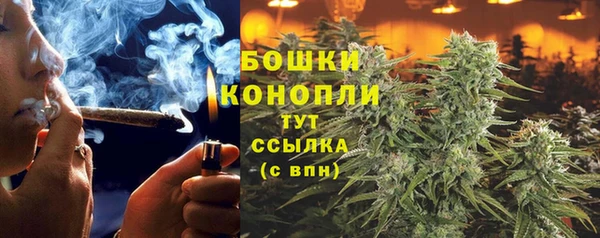 трава Дмитров