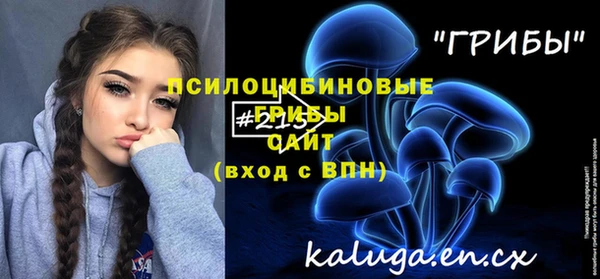 амф Алексин